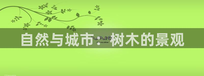 娱乐世界新宝gg