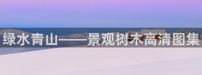 新宝gg辅助