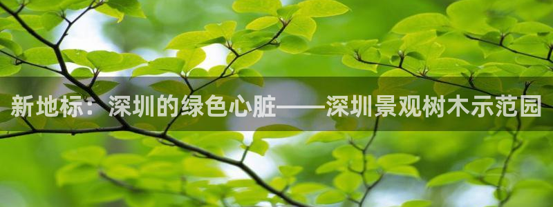 百度新宝gg