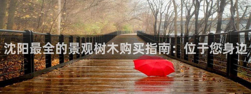 新gg官网_新宝GG创造奇迹