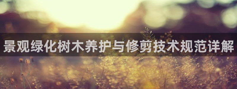 新宝gg金砖彩票