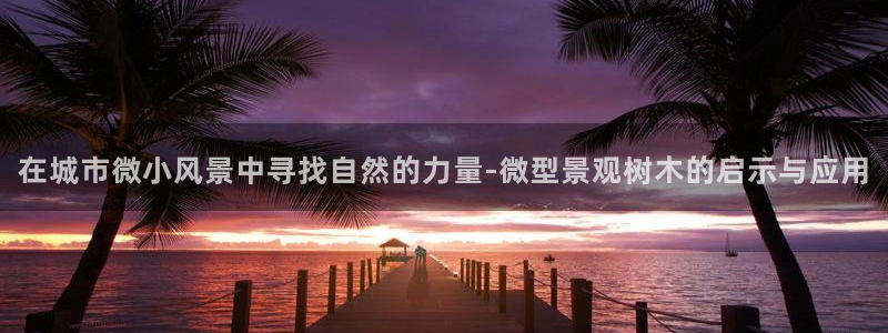 新宝gg正规