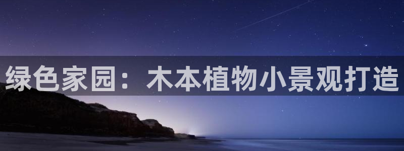 新宝gg是在境外吗