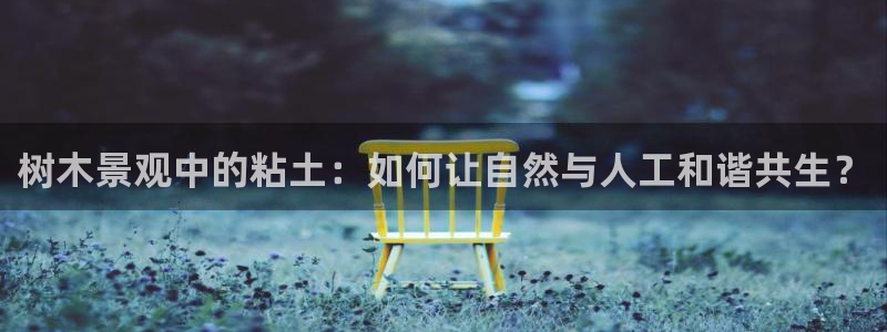 新宝gg玩
