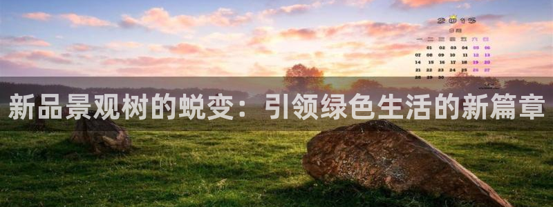 【新宝gg】：新品景观树的蜕变：引领绿色生活的新篇章