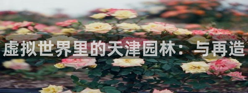 新宝gg最新章节