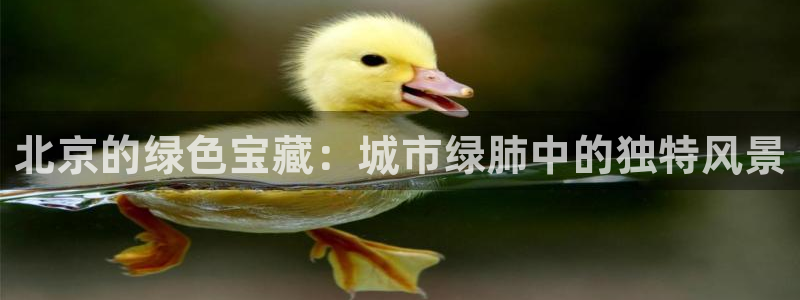 新浪新闻新宝gg