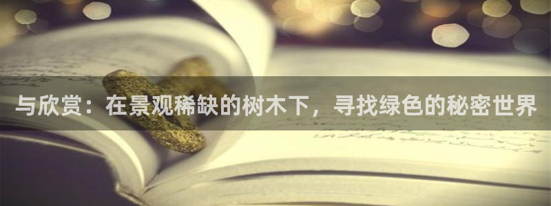 新宝gg会员