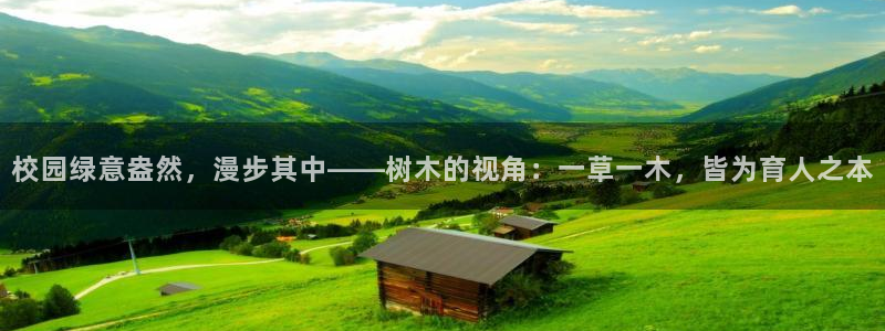 新宝GG耳78778：校园绿意盎然，漫步其中——树木的视角：一草一木，皆为育人之本