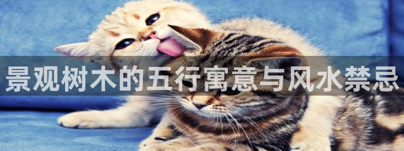 登录新宝gg游戏：景观树木的五行寓意与风水禁忌