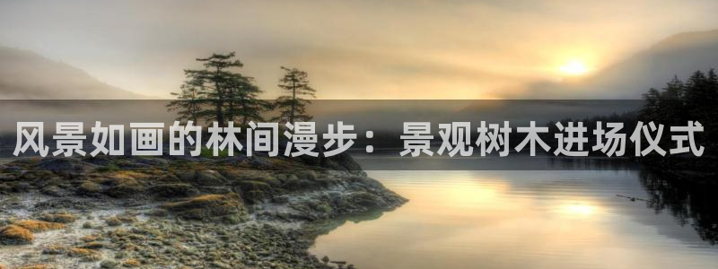 新宝gg申请账号