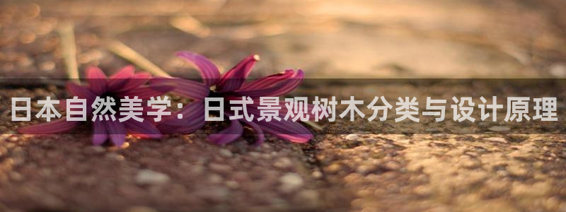 新宝gg登录链接：日本自然美学：日式景观树木分类与设计原理