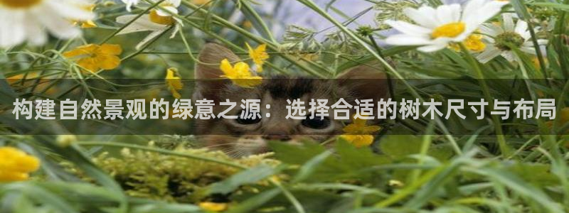 新浪新闻新宝gg：构建自然景观的绿意之源：选择合适的树木尺寸与布局