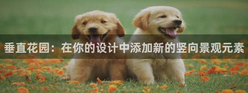 新宝gg干嘛：垂直花园：在你的设计中添加新的竖向景观元素