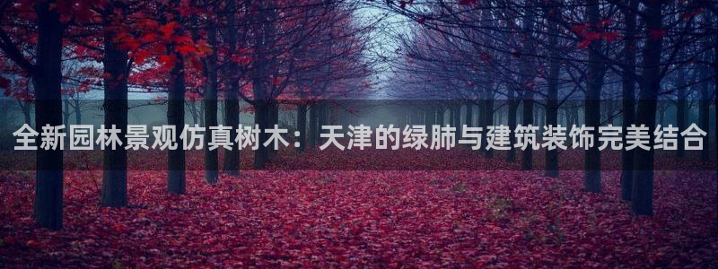 新宝gg平台怎么样