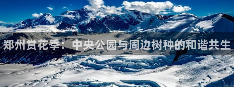 新浪新闻新宝gg
