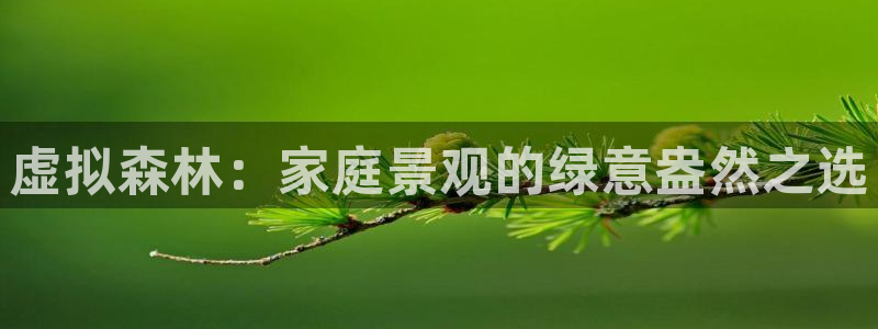 新宝哈哈gg