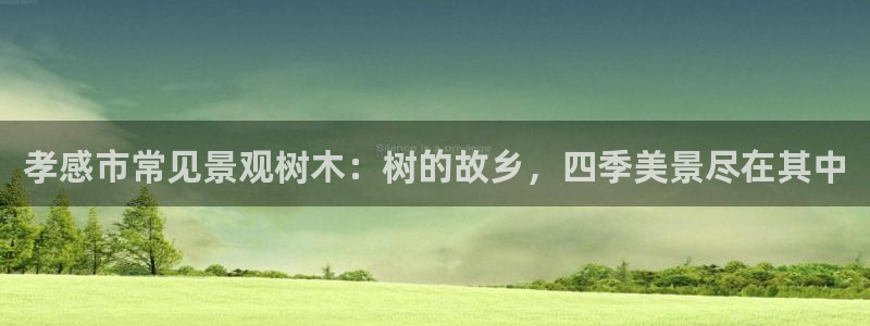新宝皇冠gg：孝感市常见景观树木：树的故乡，四季美景尽在其中