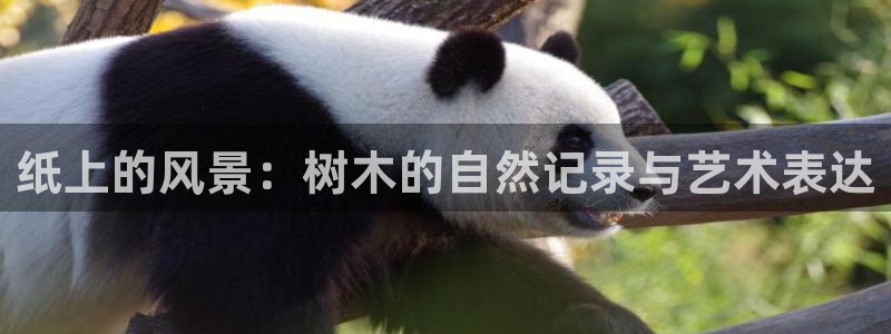 新宝GG网页