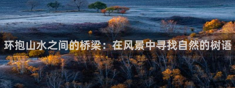 新宝gg平台开发