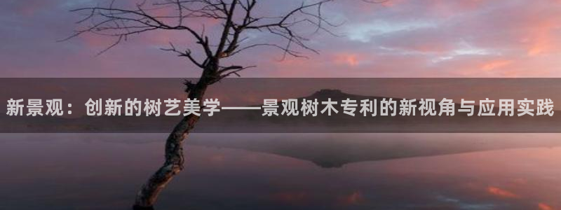 新宝gg娱乐官网