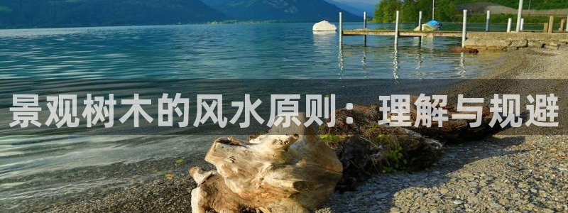 新宝gg手机版下载