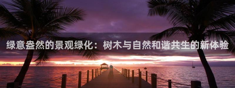 新宝gg好吗