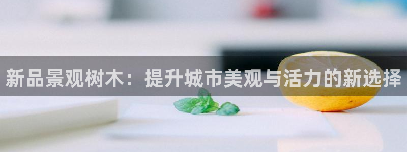 新宝GG苹果版