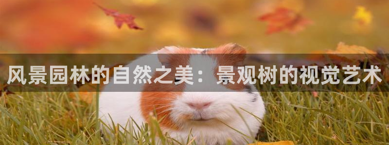 新宝gg软件下载