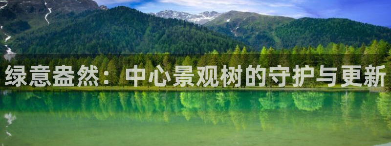新宝GG娱乐-上皇巢网