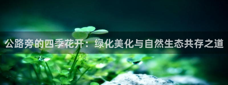 新宝gg 创造奇迹