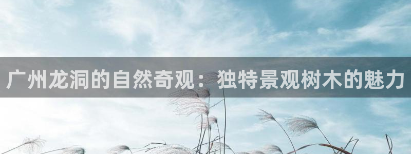 新宝gg盈亏