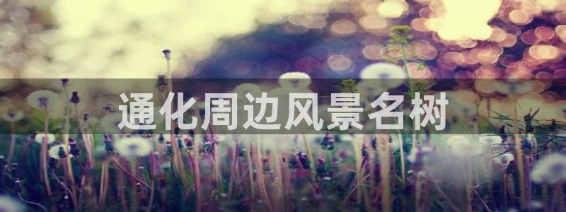 新宝GG娱乐-上皇巢网