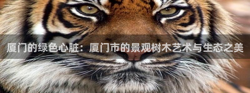 新宝gg主管_：厦门的绿色心脏：厦门市的景观树木艺术与生态之美