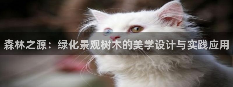 新宝5和新宝gg：森林之源：绿化景观树木的美学设计与实践应用