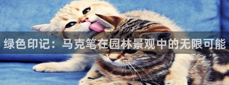 新宝创造Gg：绿色印记：马克笔在园林景观中的无限可能