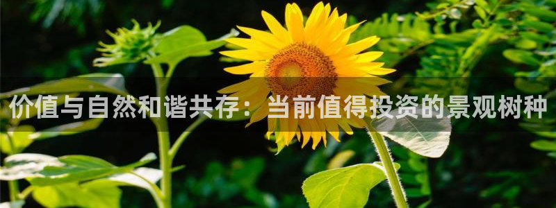 新宝gg娱乐平台：价值与自然和谐共存：当前值得投资的景观树种