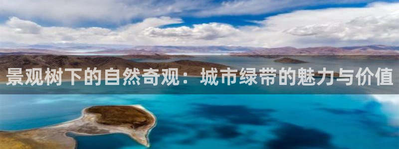 新宝gg套利：景观树下的自然奇观：城市绿带的魅力与价值