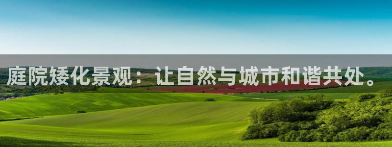 新宝gg入口网址