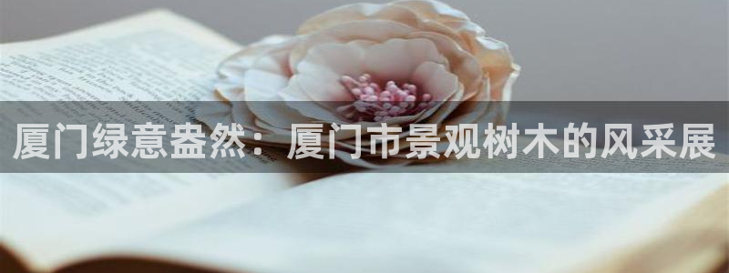 新宝gg游戏平台