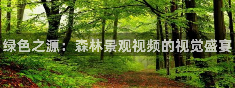 新宝gg娱乐盟主