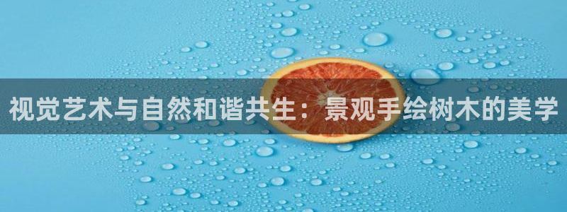 新宝gg娱乐官网