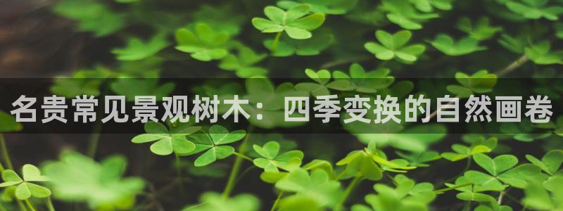下载新宝gg：名贵常见景观树木：四季变换的自然画卷