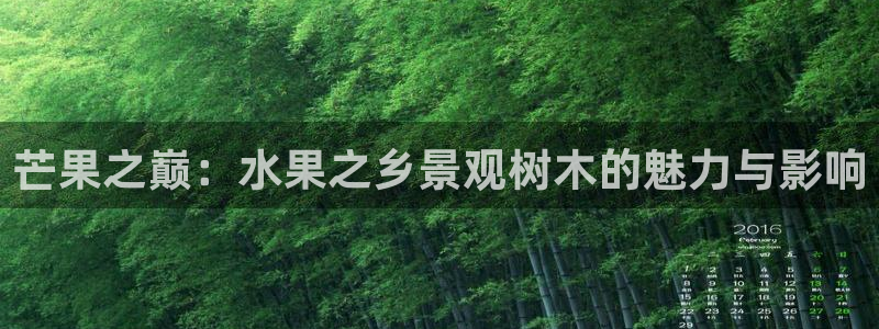 新宝6娱乐新宝gg