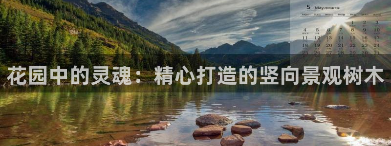 新宝gg   创造奇迹