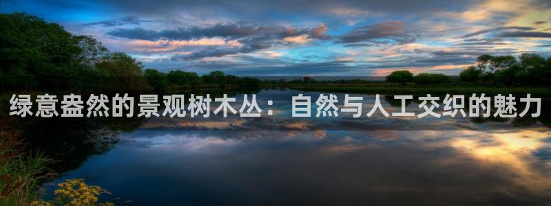 新宝GG53339咨询新宝GG