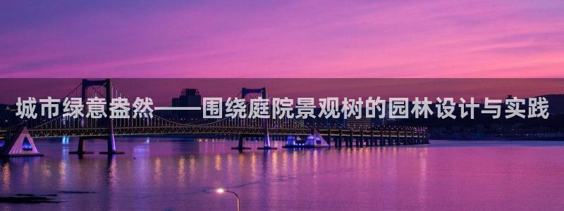 新宝gg手机版下载