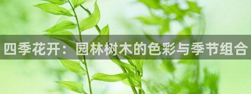 新宝gg为什么没人管:四季花开:园林树木的色彩与季节组合