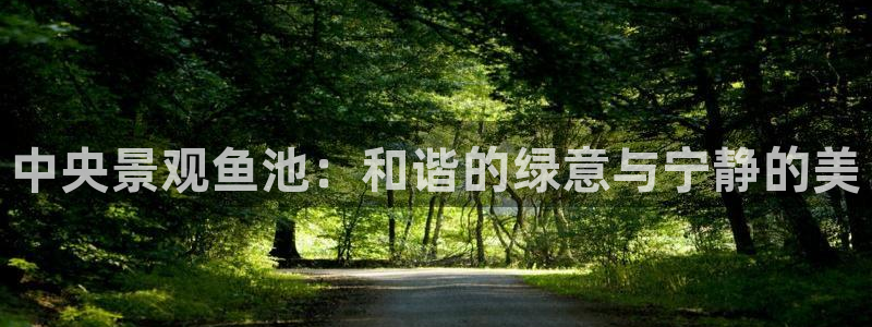 新宝GG专业团队