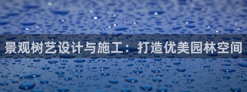 新宝gg平台首页